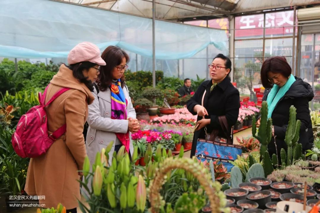 园艺沙龙|前方高能！一大波人相约逛花市，究竟淘了些啥？