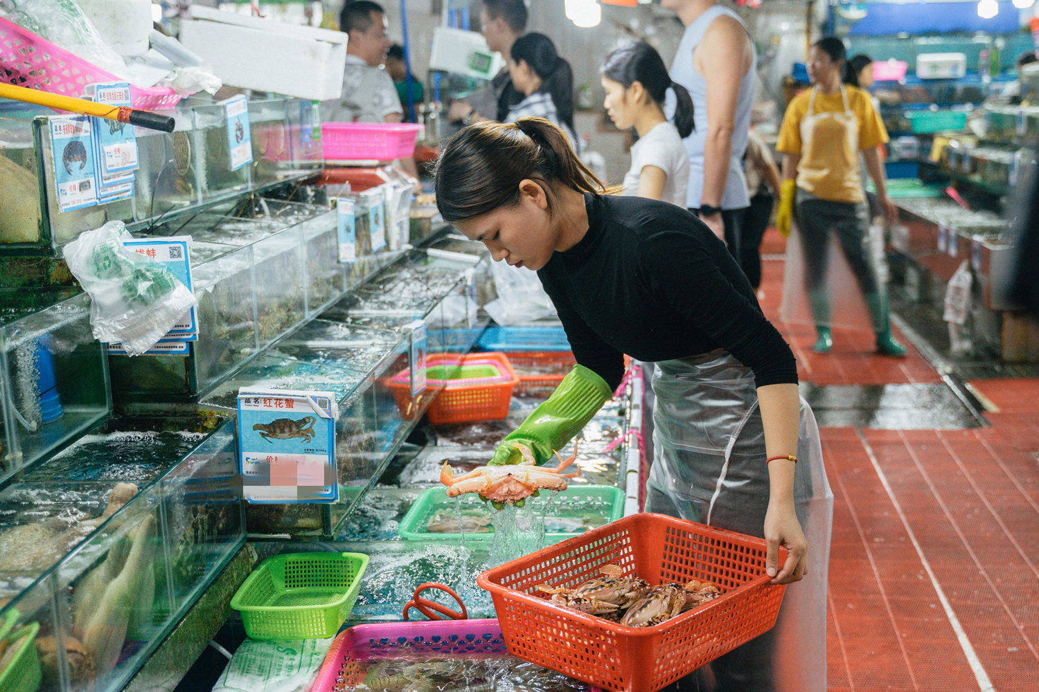 三亚玩法攻略,三亚纯玩旅游攻略跟团