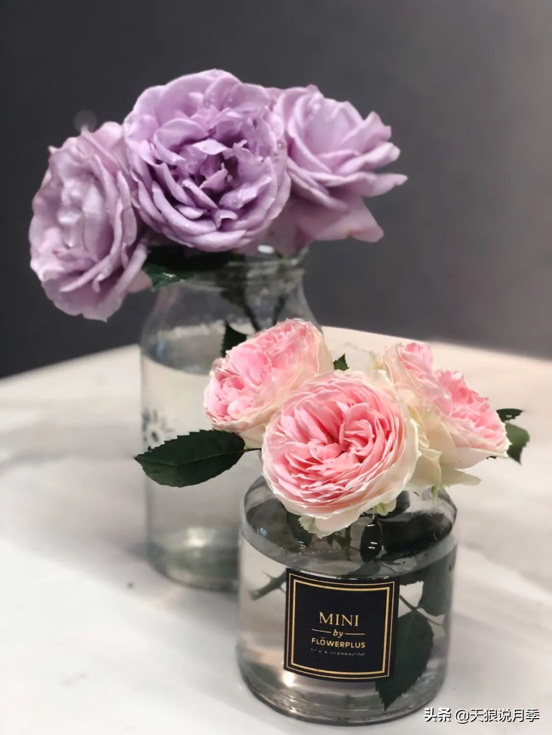 怎么打造露台小花园,如何打理自己的露台小花园