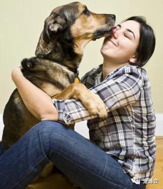 狗狗嗅陌生人的腿,狗狗为何喜欢嗅主人的尿