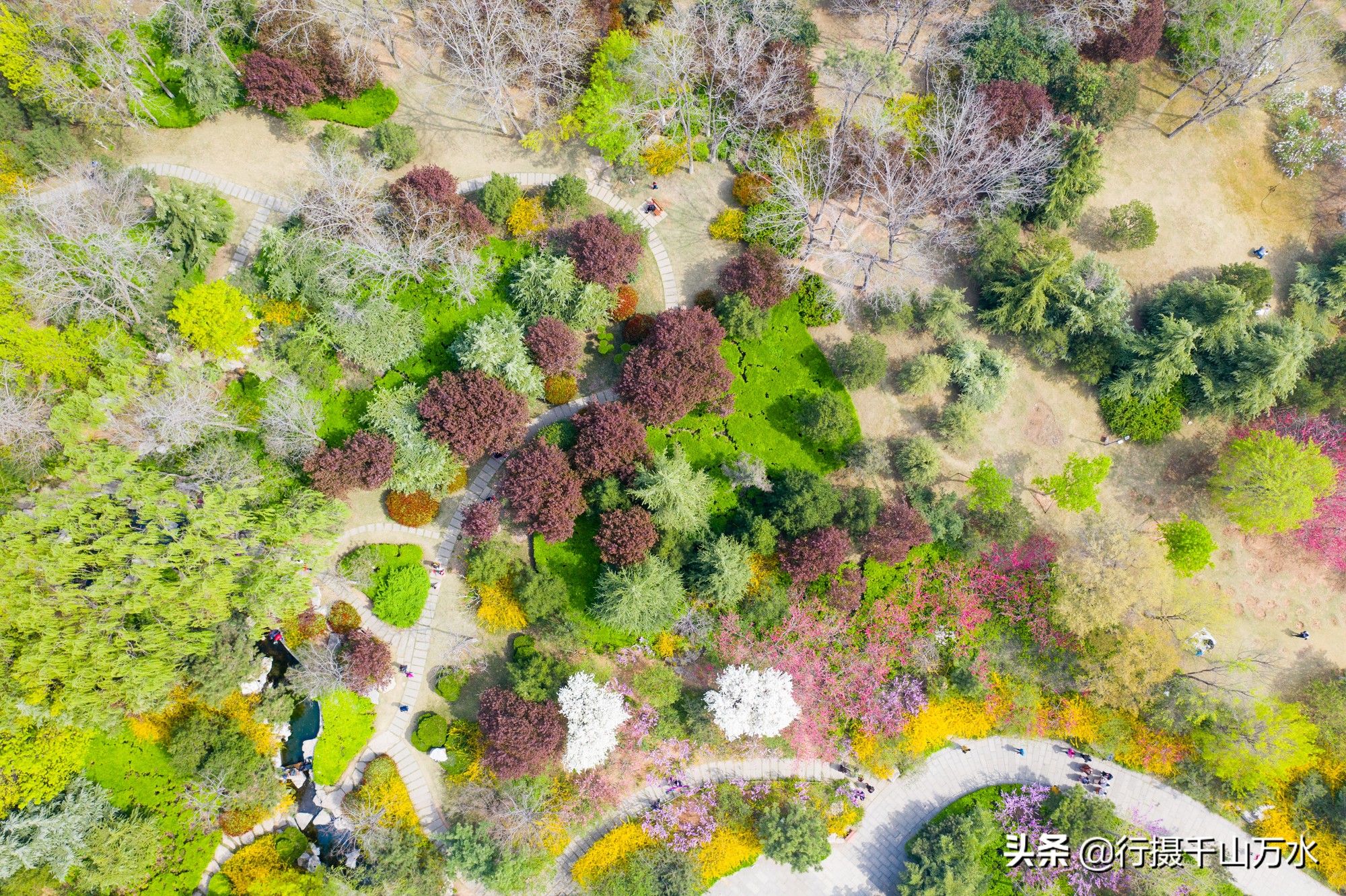 济南免费的森林公园,济南森林公园色彩斑斓秋意渐浓