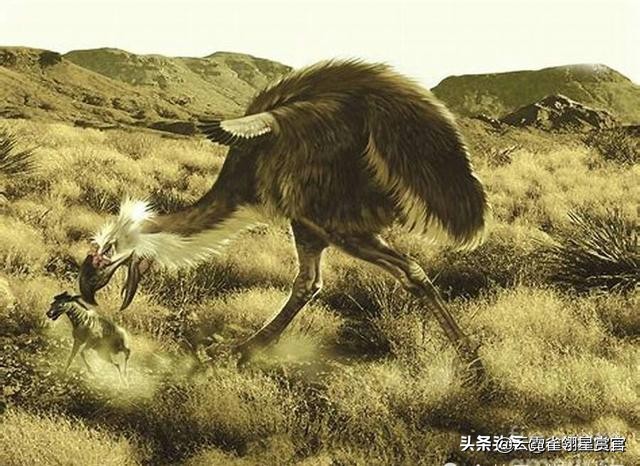 史前时期不会飞的巨鸟,十大最可怕巨型恐龙