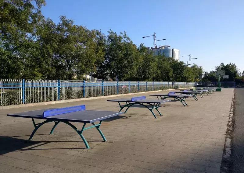 孝义体育项目,体育让城市更美好