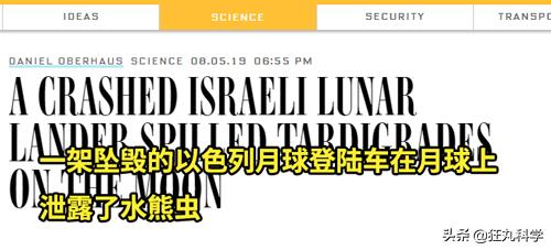 地球最强生物水熊坠落月球或幸存,地球最强的生物降临月球