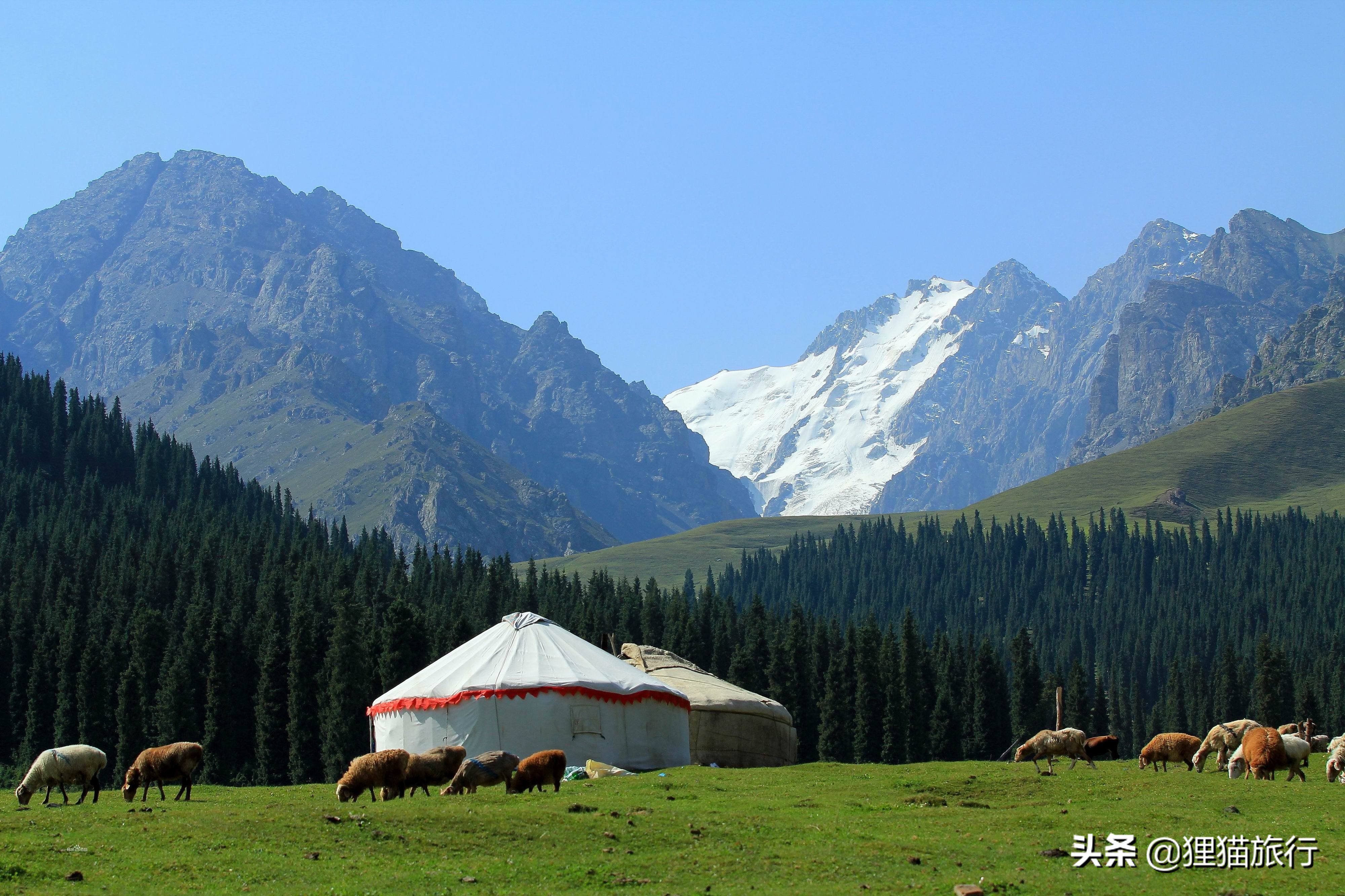 美丽富饶的新疆视频,美丽的新疆沙湾
