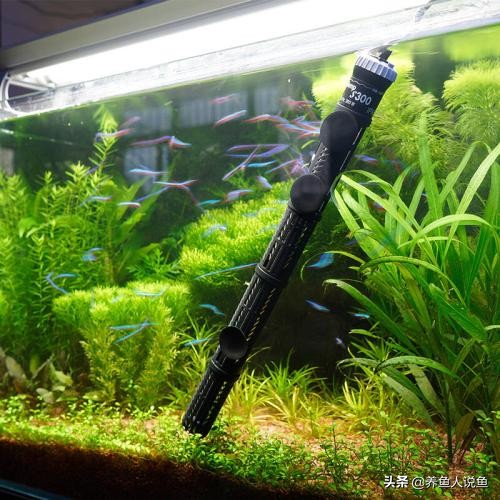 冬天使用加热棒需要盖吗,冬天使用太阳能注意事项