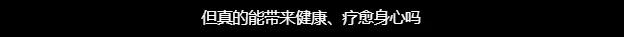 外国人养生的方式,老外养生起来比我们都讲究