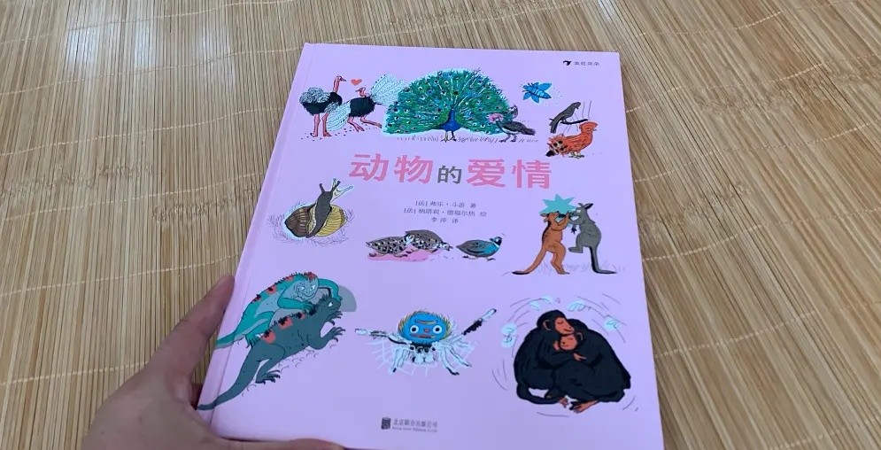 动物们的*生活性**比想象的精彩