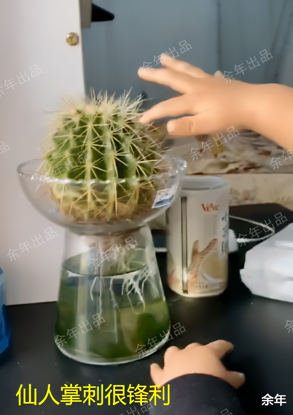 孩子被鱼刺卡住奶奶救了孙女,小孩被鱼刺卡住了哭一会又没事了