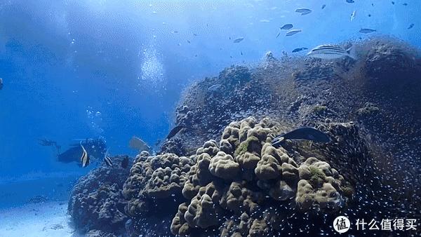 普吉岛aida考证,普吉padi潜水考证