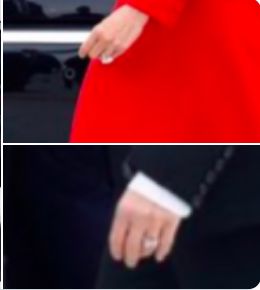 特朗普梅拉尼娅埃及,特朗普梅拉尼娅牵手上飞机