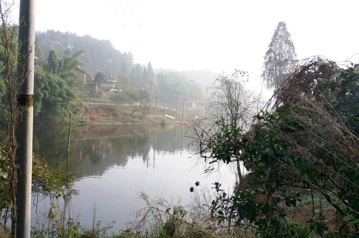 鱼塘养鱼的正确养殖方法有哪些,承包水库养鱼经济效益怎么样