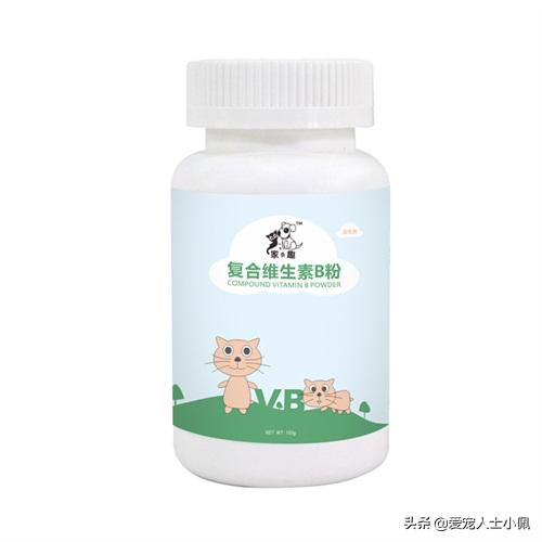 养狗需要具备哪些条件,养狗需要哪些条件