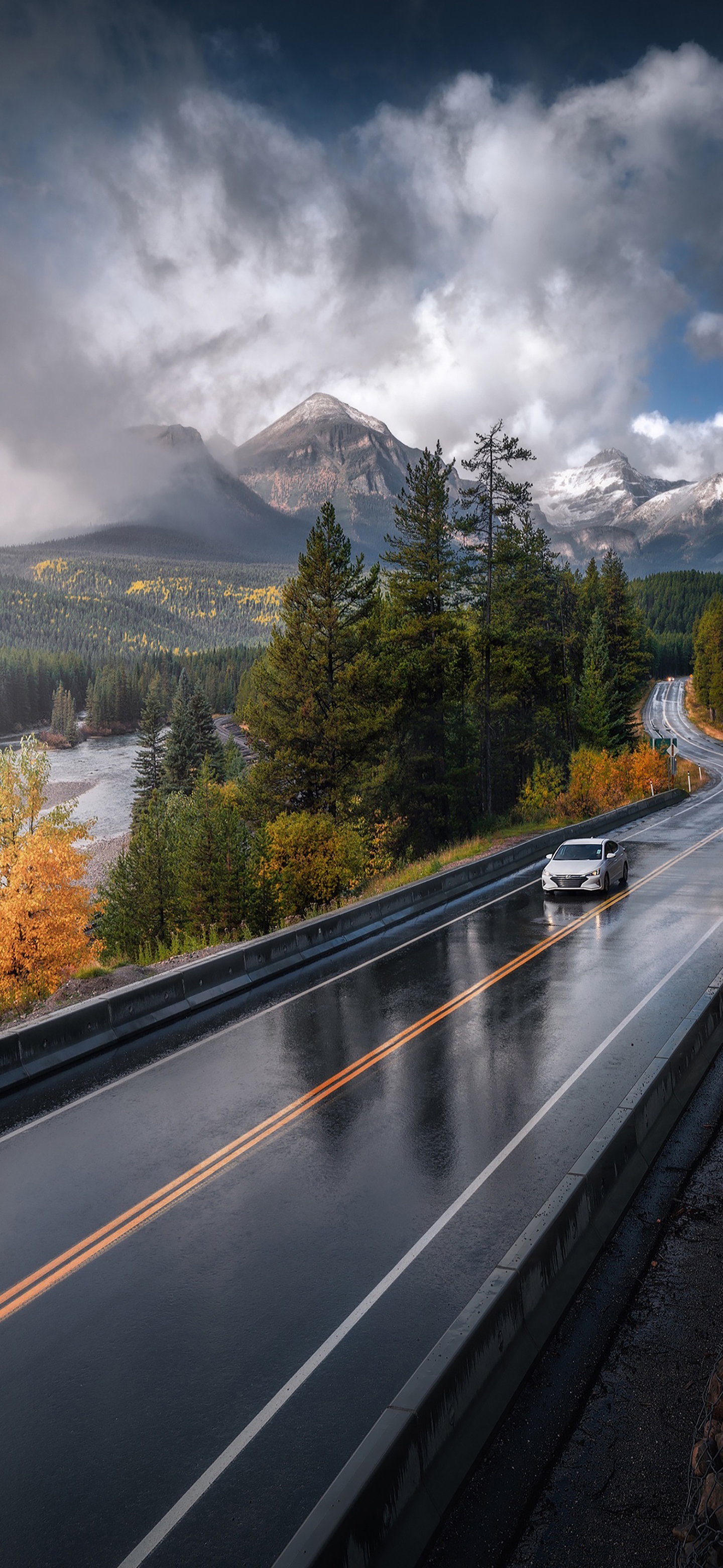 高清花和水的结合壁纸,风景壁纸高清全屏高级感组合
