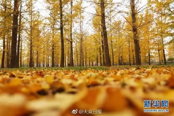 山东方言中存在的生僻字,山东生僻地名