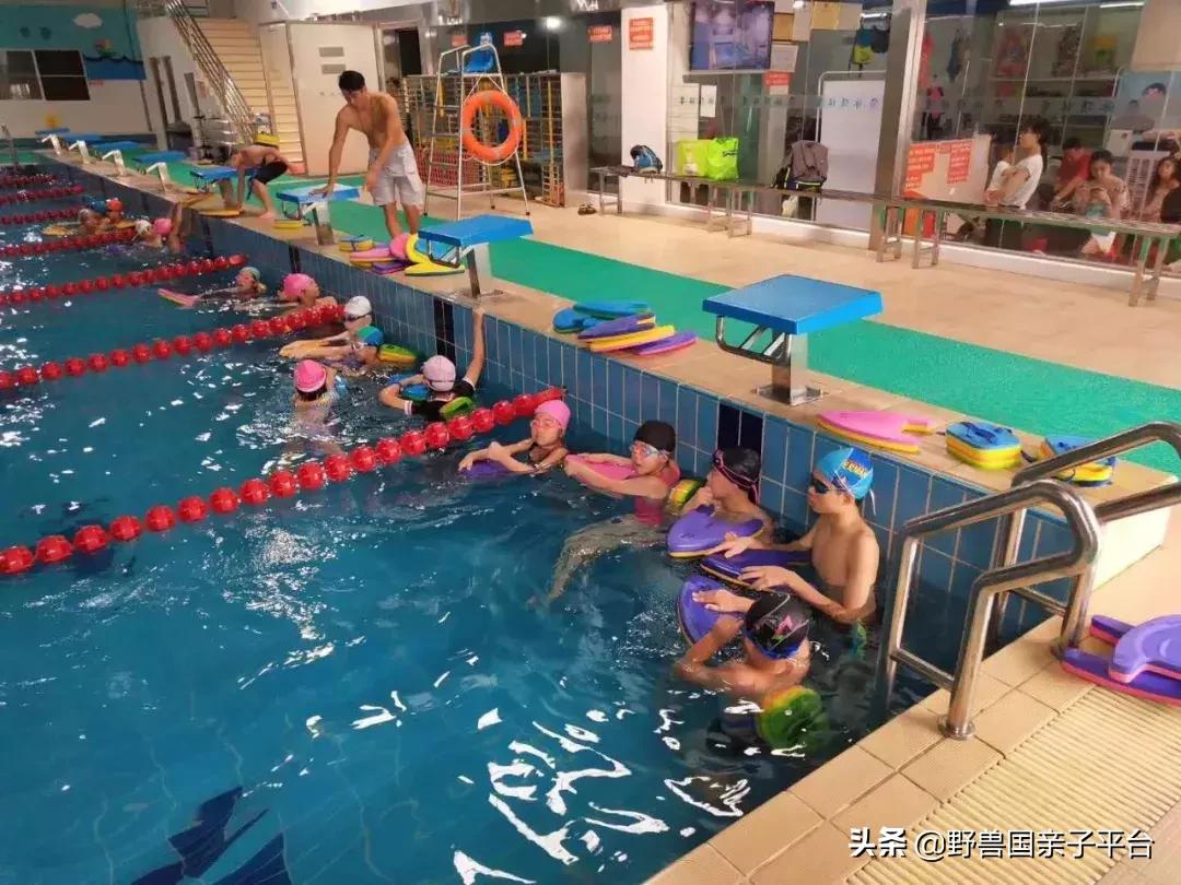 东莞哪里适合小孩子游泳冬天,暑假最适合学习游泳的地方