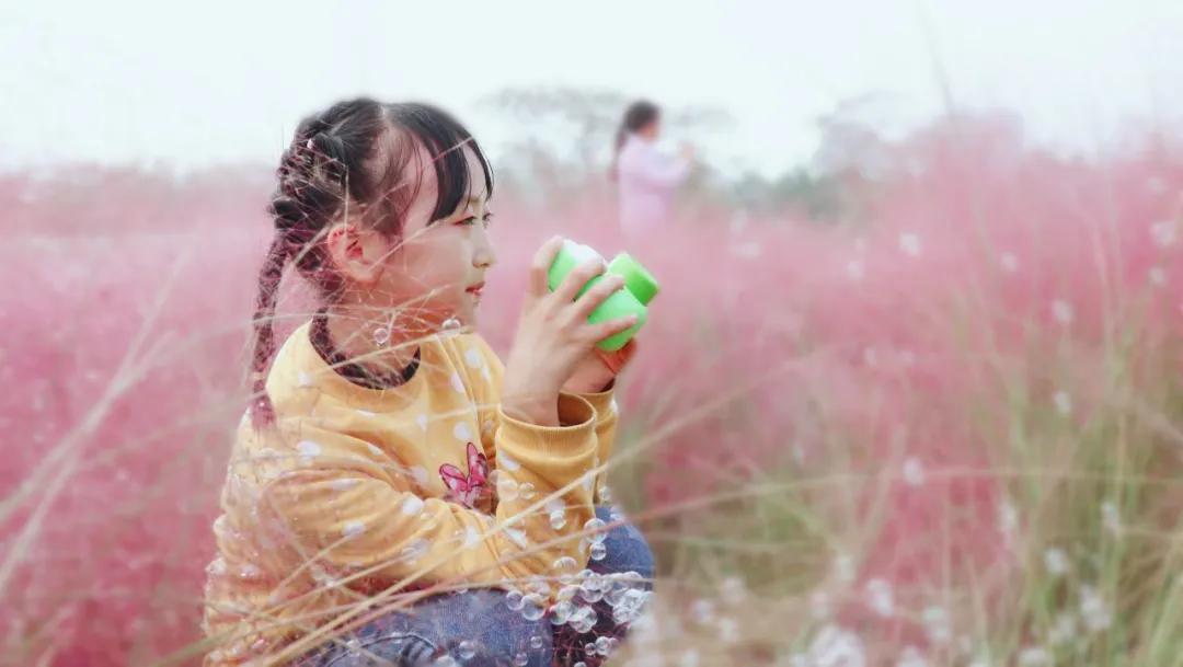 浦口最炫花海景点,浦口的花海