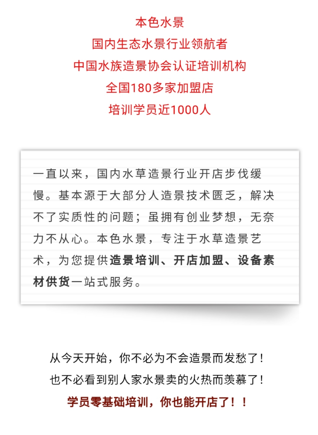 本色水景|教你学水景，草缸除螺小经验，水草缸造景学习