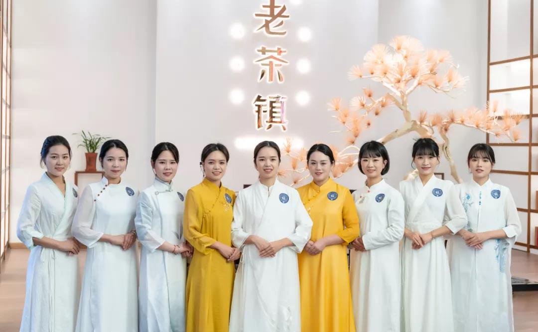 中国白茶第一饼2007年,白茶首日芽是什么意思