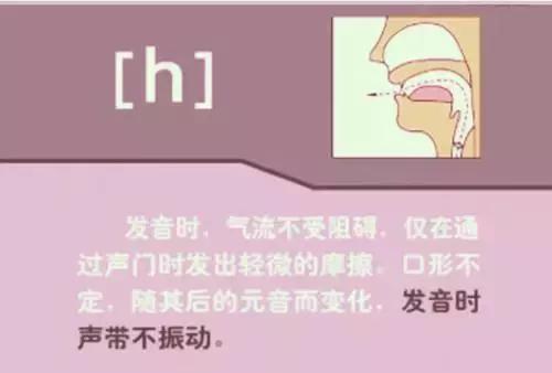 英语音标48个发音谐音表图片,英语音标发音48个教学视频
