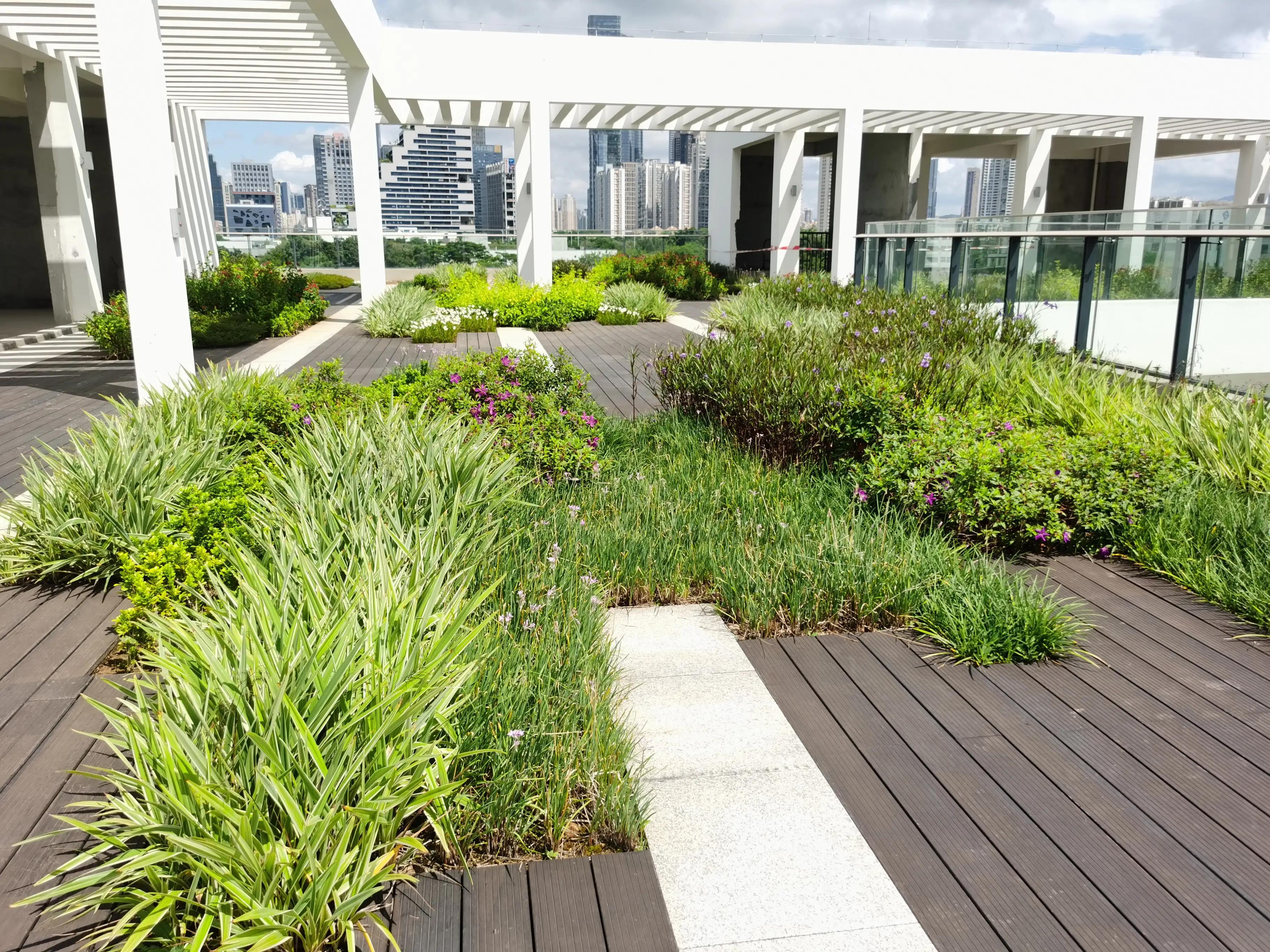 足球主题运动公园,深圳市福田区滨海体育公园