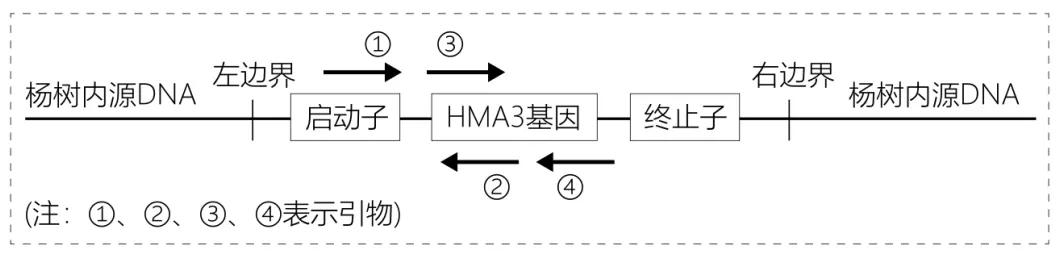 2020北京卷生物高考,北京高考生物试卷难吗