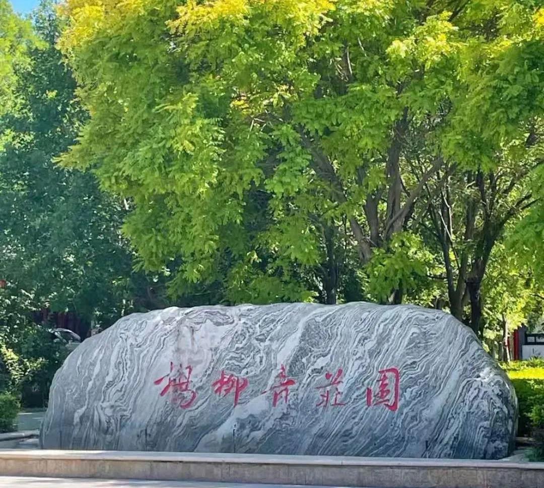 14个津城网红打卡点公布！快看看你去过几个！