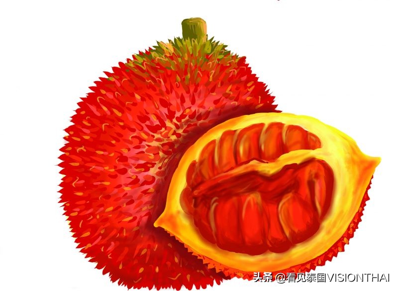 石榴泰国水果,好实惠水果泰国老树山竹