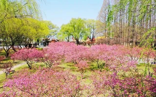 无锡三国城水浒城旅游视频,无锡三国水浒城一日游攻略自由行