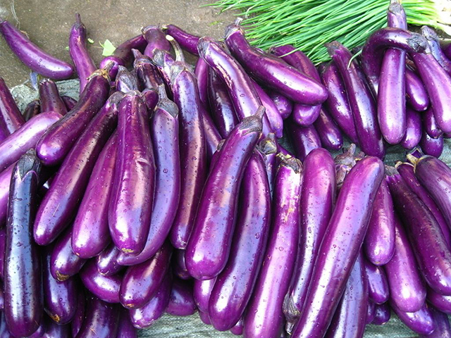 挑选茄子的方法看形状 (怎么挑茄子最准)