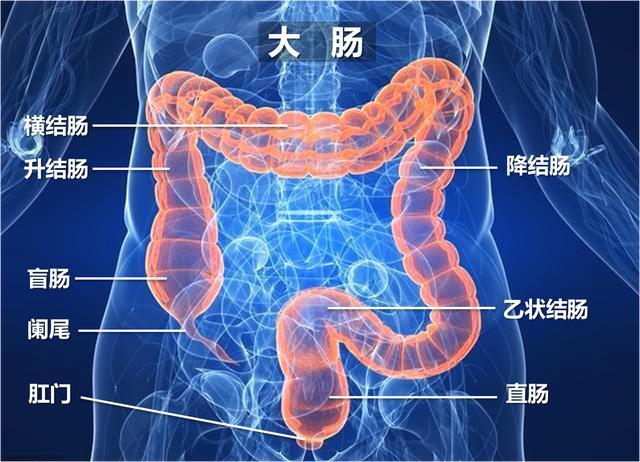 怎样才能测试自己便秘了多久,肛肠科医生教通过运动解决便秘
