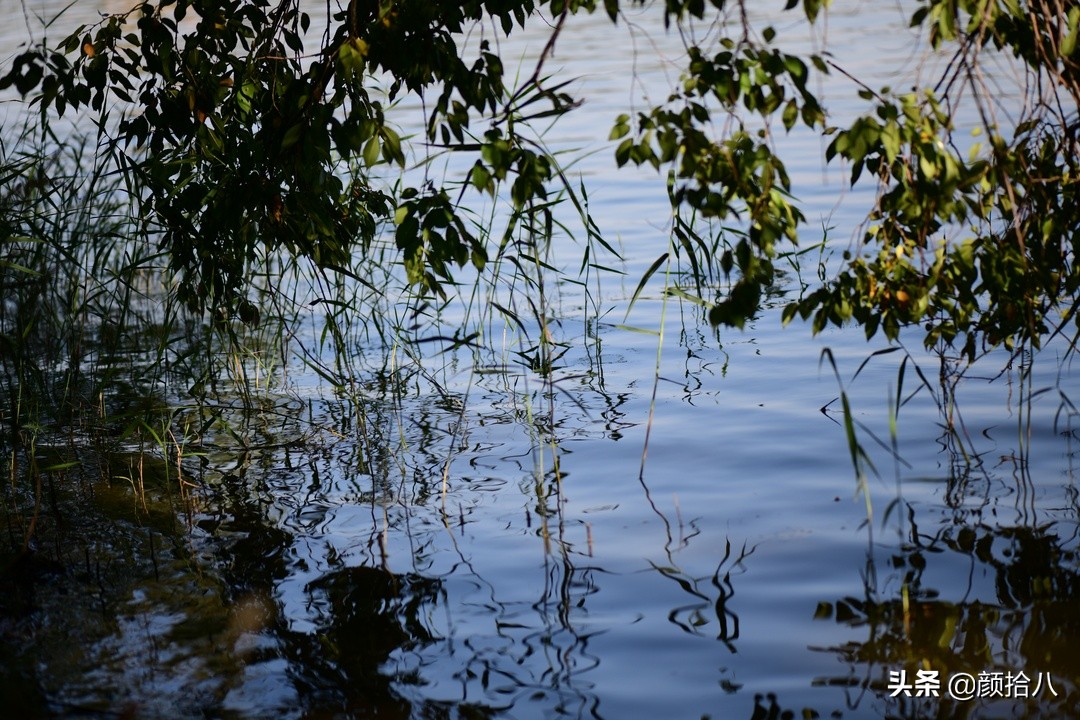 北京圆明园一日游推荐,圆明园秋色如画