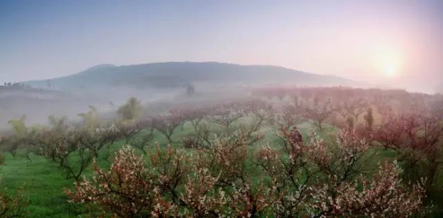 宜兴人很幸福吗,宜兴人的生活现状