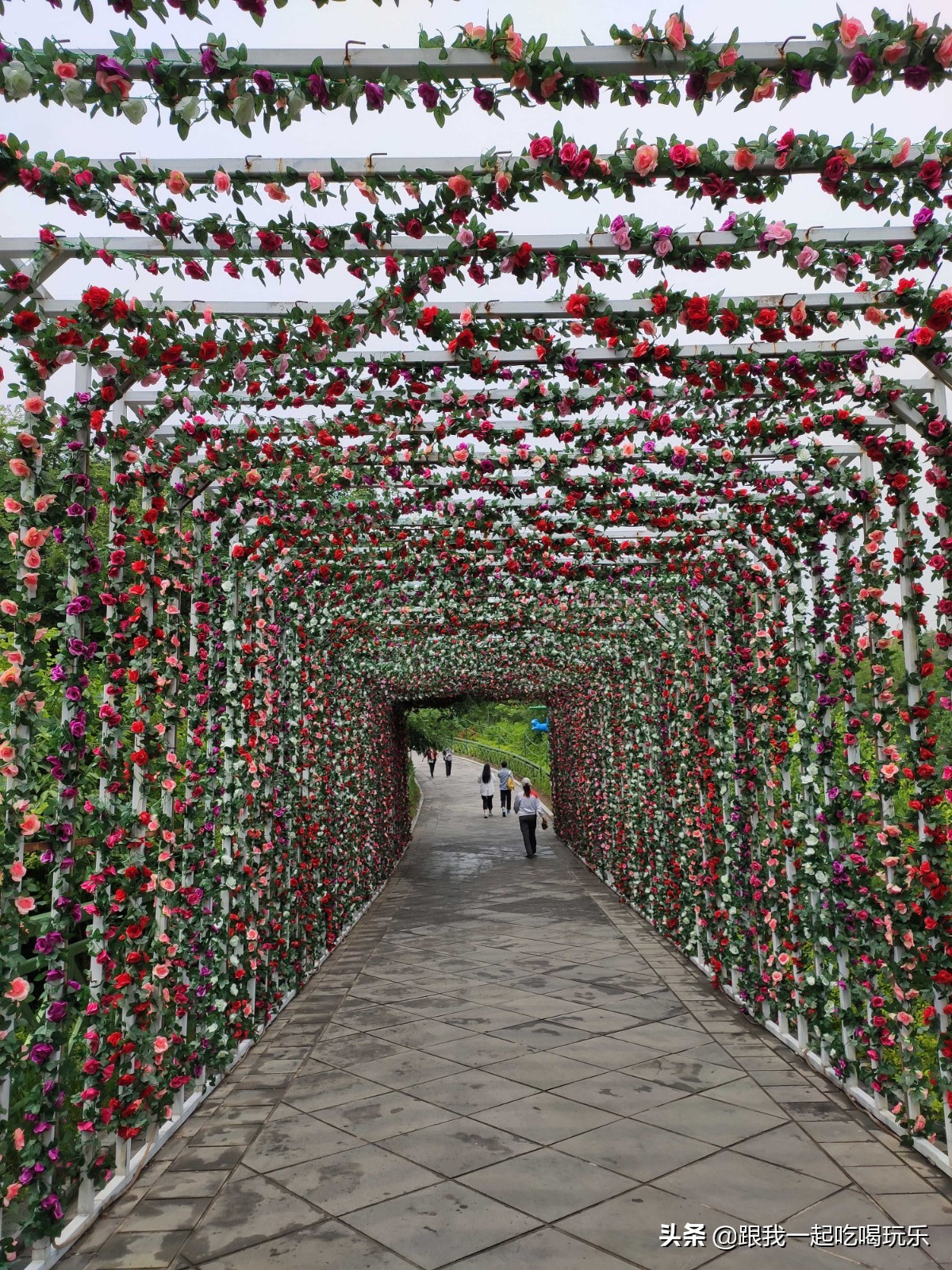 沈阳热高乐园丛林欢乐世界,沈阳丛林欢乐世界