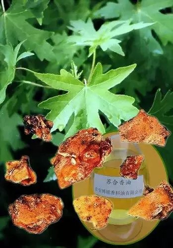 各种香料的属性与搭配,各种香料调料的配方共十八种