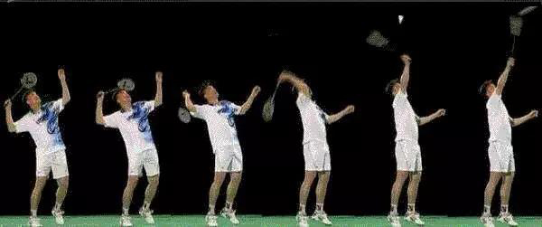 羽毛球技术8个要领,羽毛球技术动作要领讲解书籍