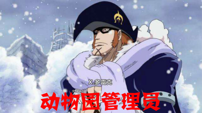 《海贼王》如果超新星十一人穿越到现代，那他们适合做什么工作？