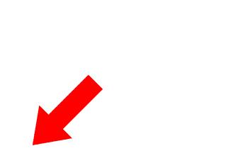 顺德冯不记面馆有多少间,佛山冯不记米坊在哪里