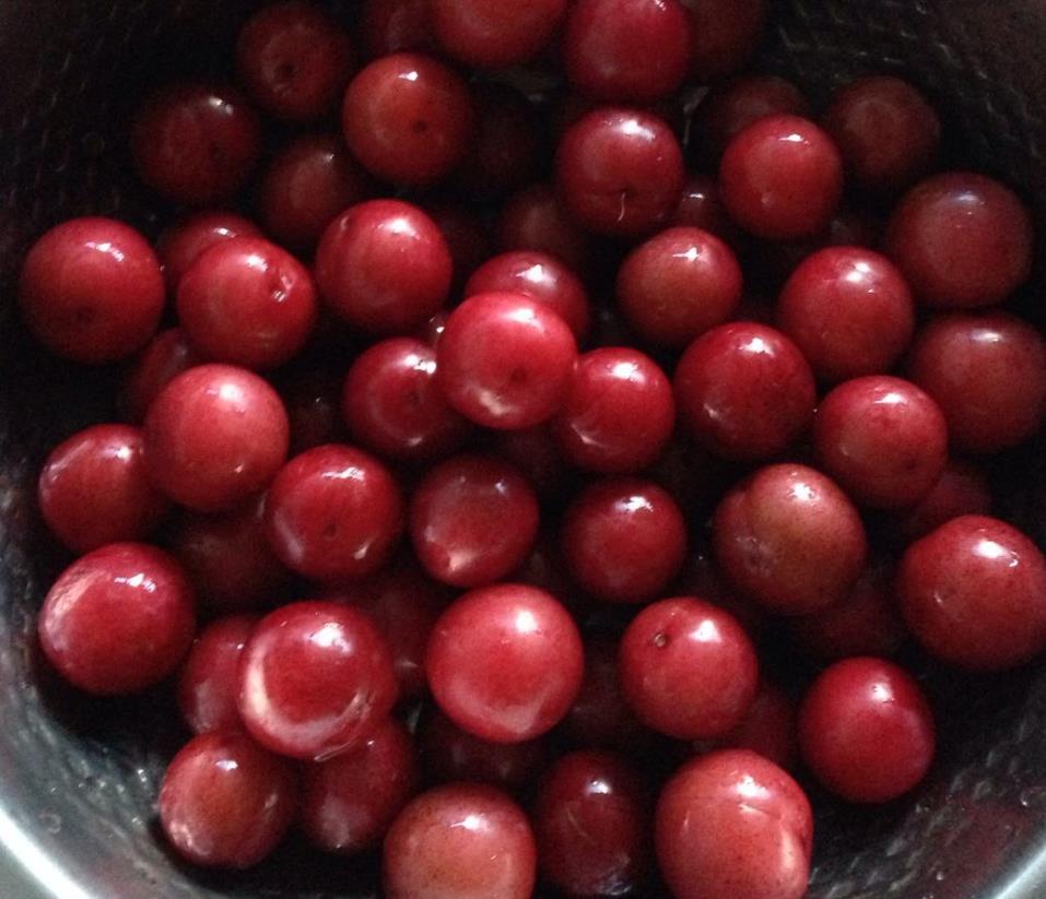 李子适合肠胃不好的人吃吗,李子可促进肠道消化吗