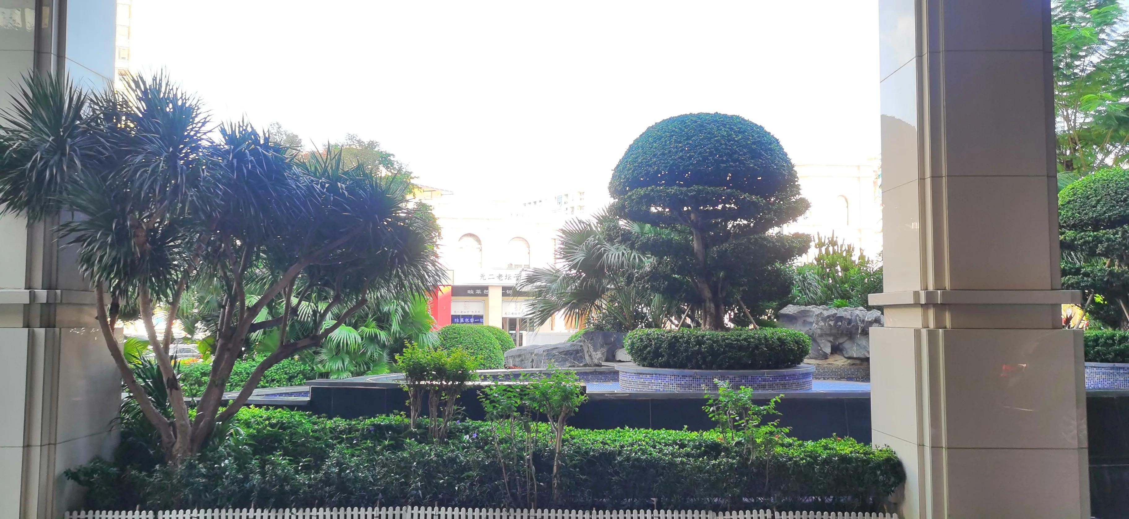 好奇能够激发兴趣,如何发现学习的乐趣和动力