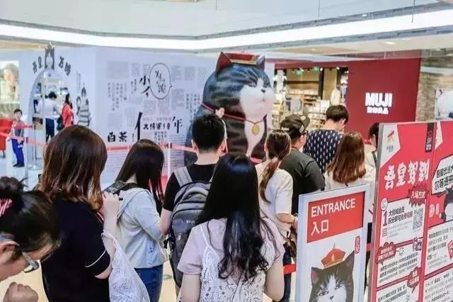 从学猫叫到猫爪杯，千亿级萌宠市场，下一个风口离你有多近？