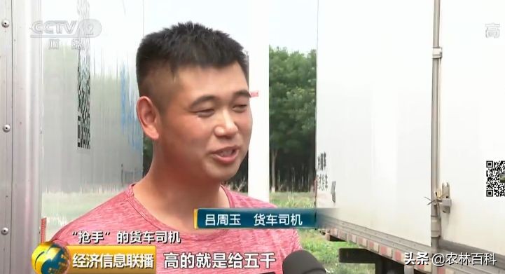 高薪招聘货车司机月入过万,缺个司机月薪50万