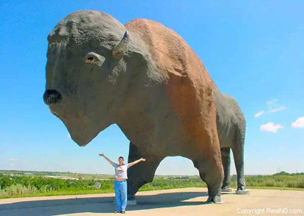 美国车牌为什么那么多图案,为什么有人取车牌