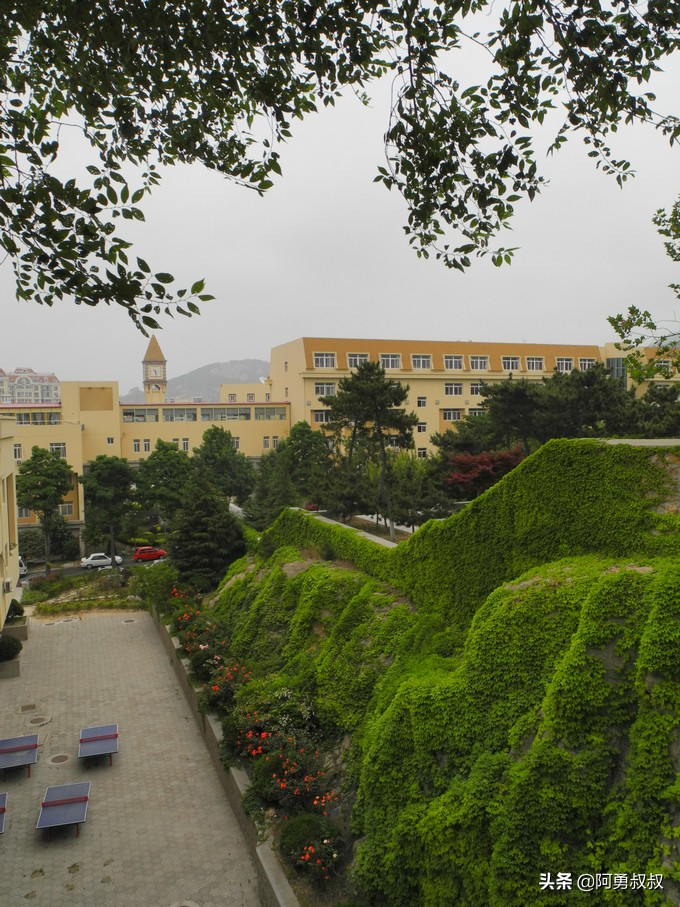 经验分享百强榜,青岛二中顶尖学子