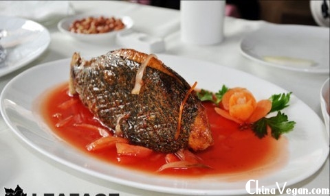 素食可以用什么代替肉,素食也能烹出高级感