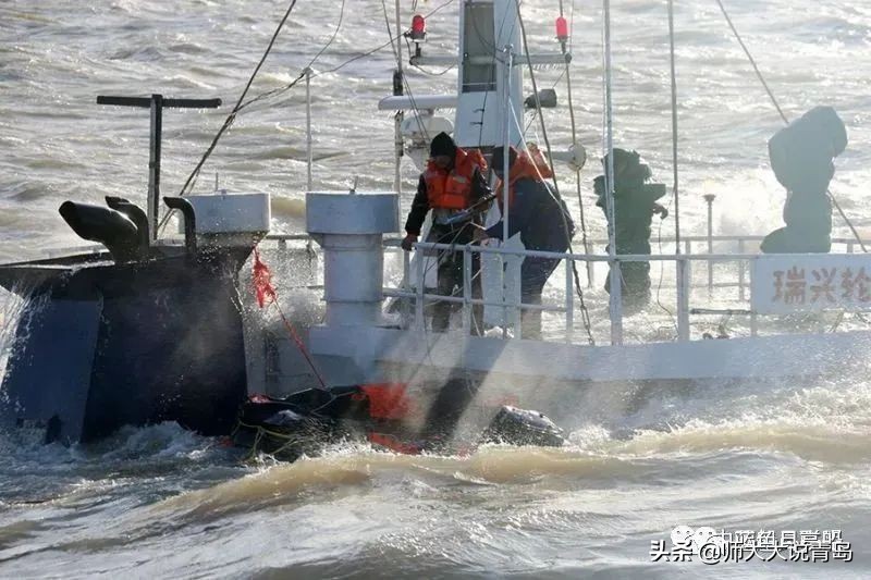 青岛港的历史,青岛市黄岛区记忆