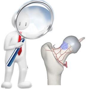 老人一屁股摔倒脊柱骨折如何治疗,老人一屁股坐地上怎么处理