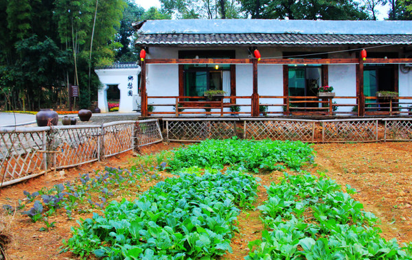 鄱湖之秋,鄱湖之滨信江之畔余干