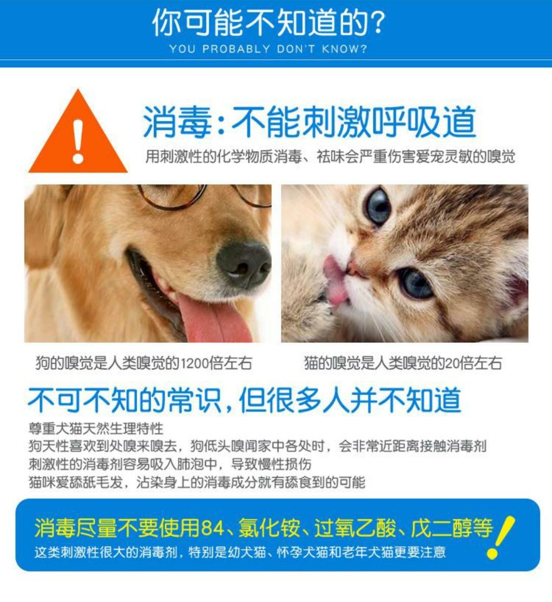 宠物感染细小怎么办,宠物感染了怎么办