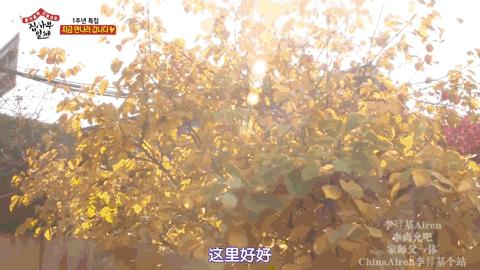 孙艺珍到底有多好,孙艺珍私下